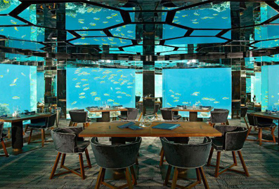 Restaurant,  Cafe & Bar